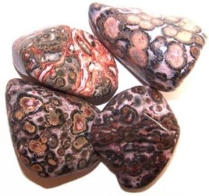 leopard_jasper