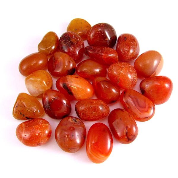 Carnelian TS