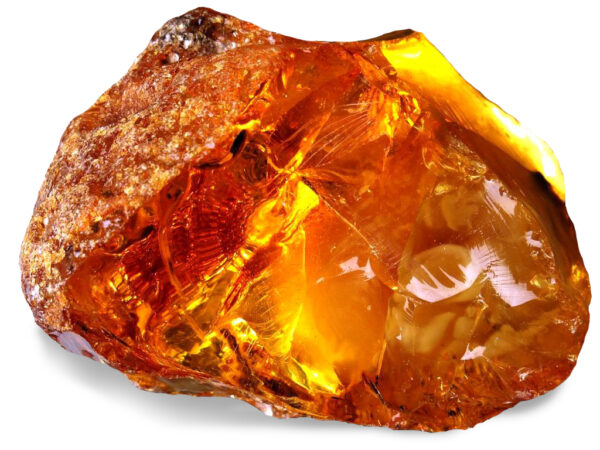 gemZworldAmber is fossilised tree resin, technically not a Crystal